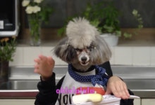 Les femmes peuvent continuer d'éplucher les patates